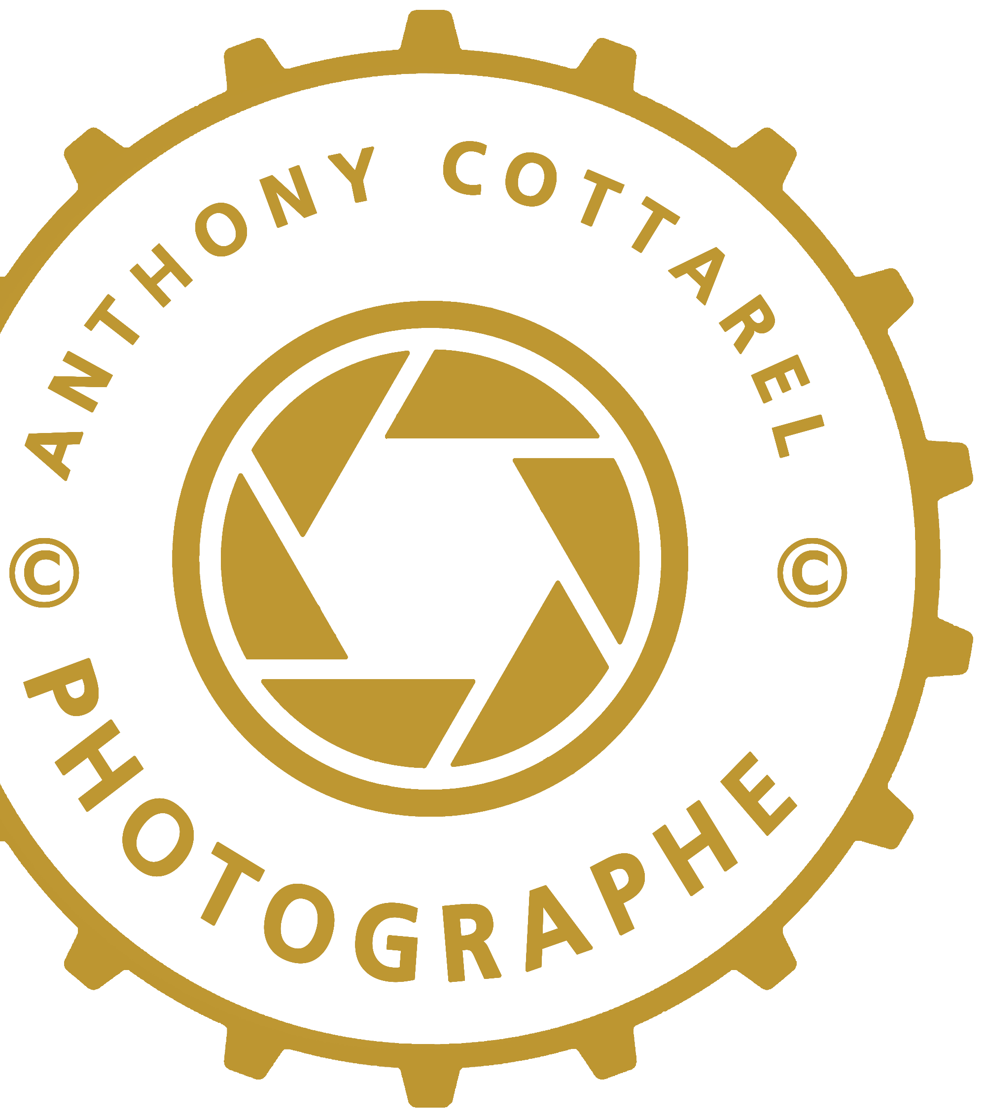 Anthony Cottarel Photographe